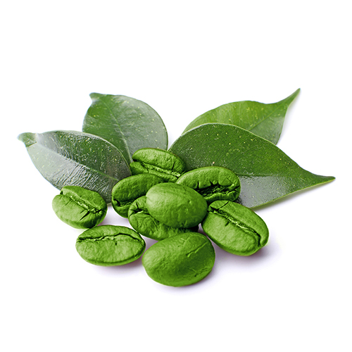 caffe_verde
